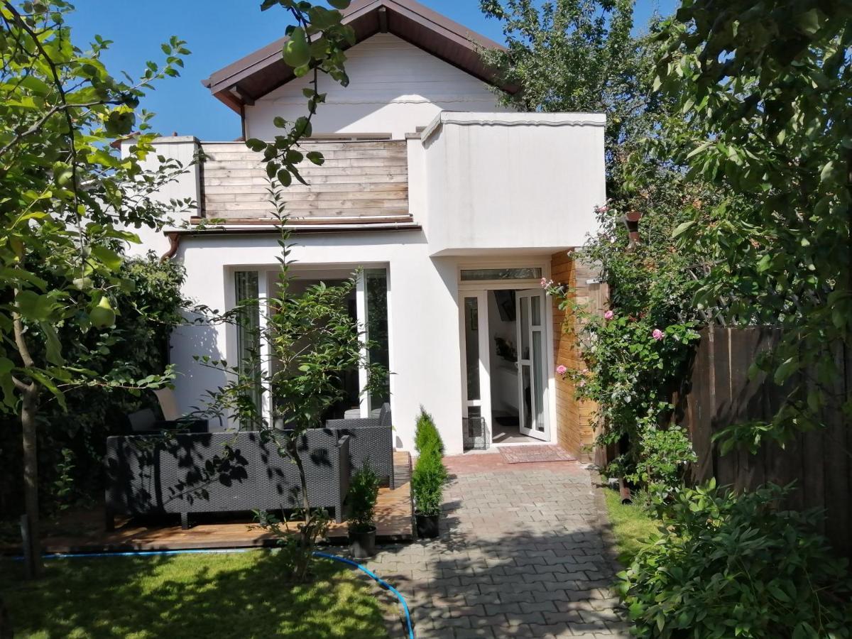 Bed and Breakfast Casa Scheiana Braşov Exterior foto