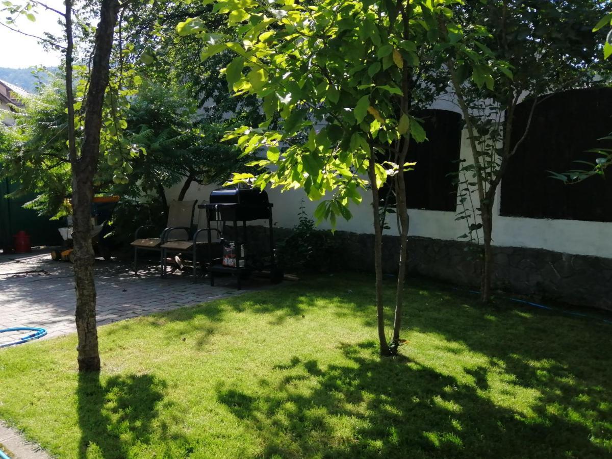 Bed and Breakfast Casa Scheiana Braşov Exterior foto