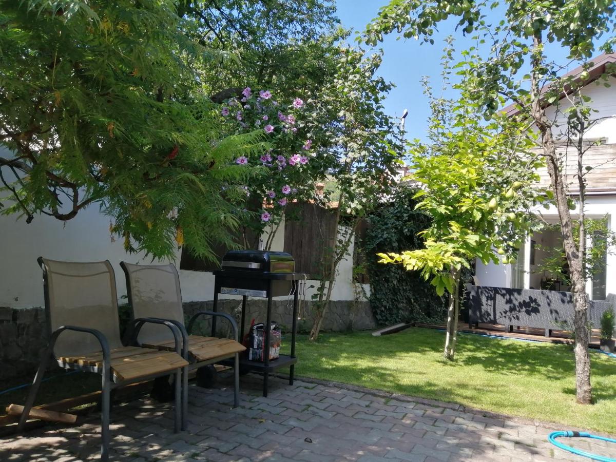 Bed and Breakfast Casa Scheiana Braşov Exterior foto