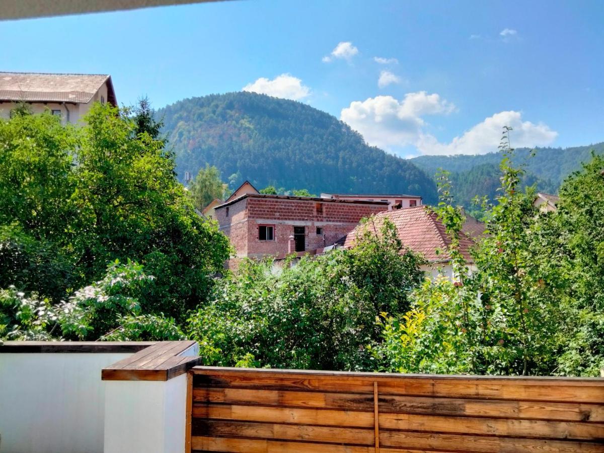 Bed and Breakfast Casa Scheiana Braşov Exterior foto