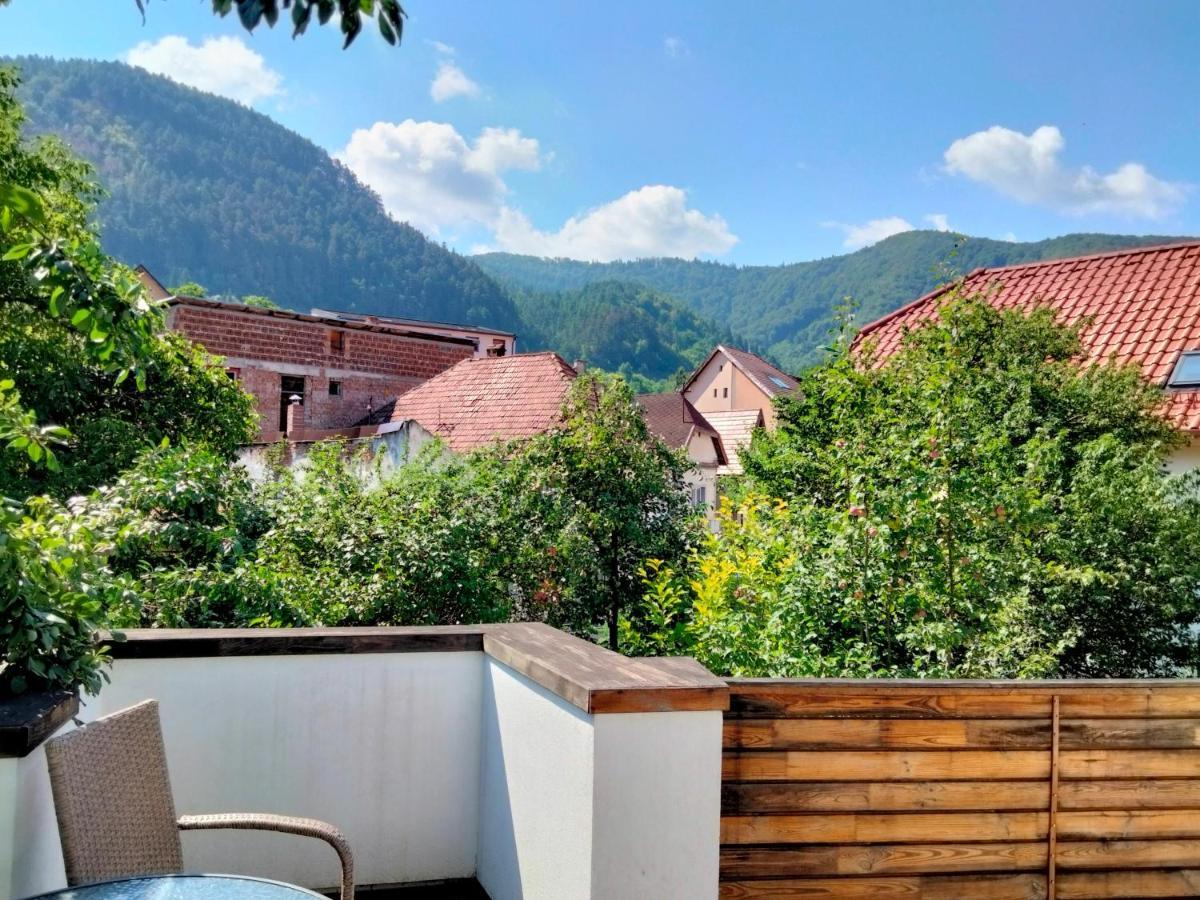 Bed and Breakfast Casa Scheiana Braşov Exterior foto